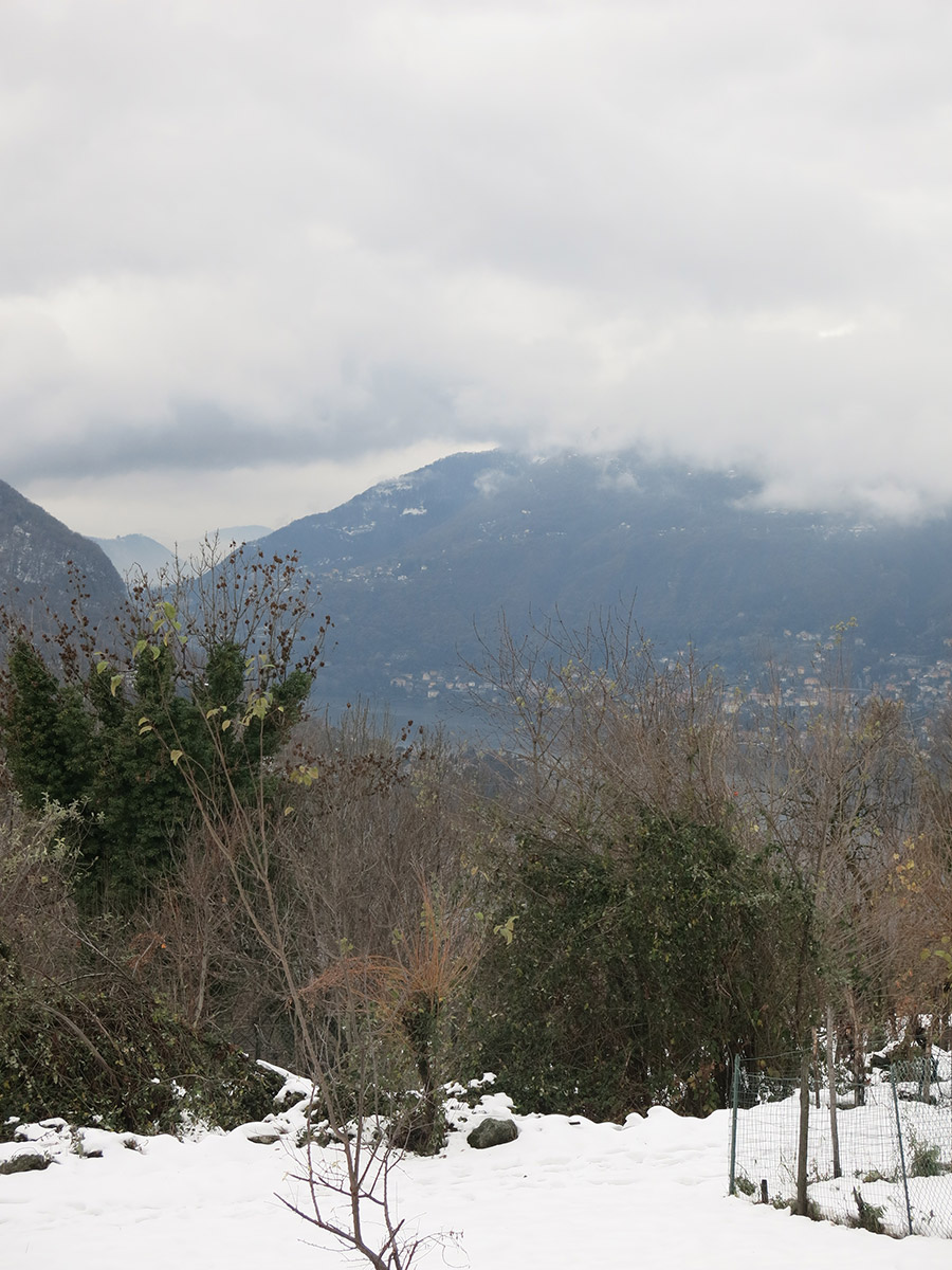 The-orchards-in-winter,-Faggeto-Lario-(Como)