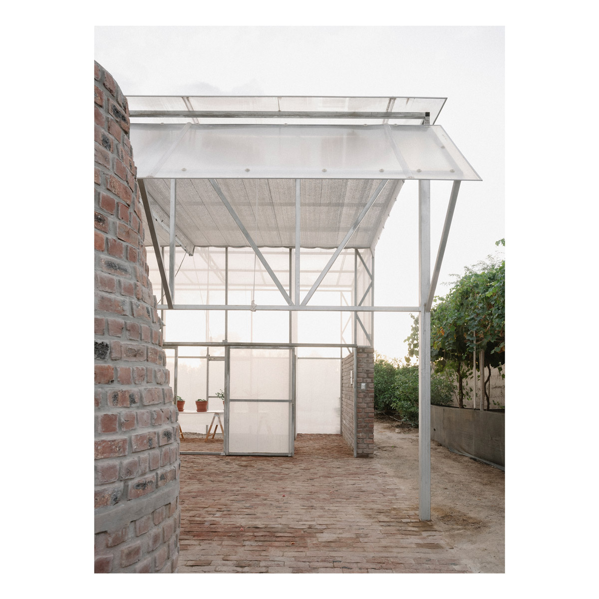 greenhouse1
