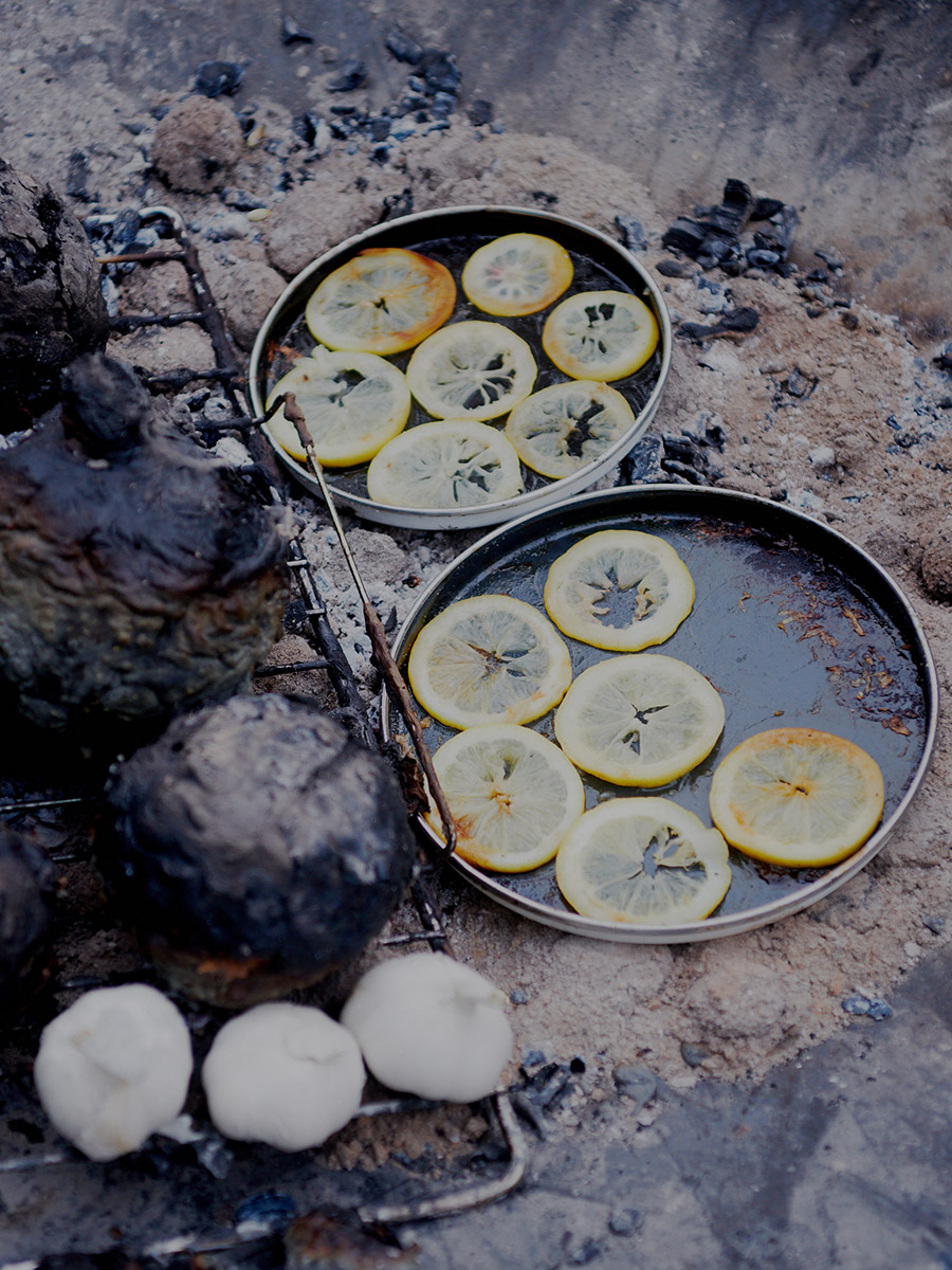 Menu-du-Jardin_43_Lavastein-und-Zitronen_Ronja-Burkard