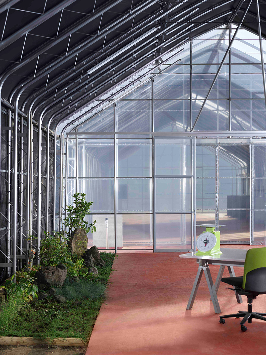 bankei-farm_20221014_0171_out-c1-100per_ps_high-res_q100_8bit_adobe-rgb_v01