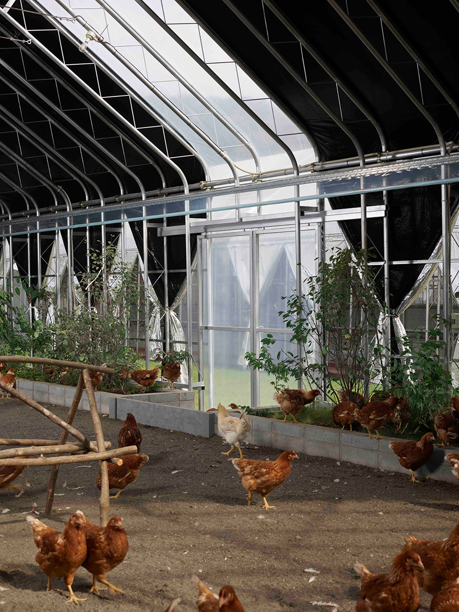bankei-farm_20221014_0602_out-c1-100per_ps_high-res_q100_8bit_adobe-rgb_v01